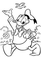kolorowanki Kaczor Donald Disney - do wydrukowania nr  75